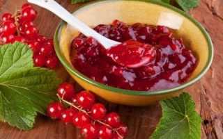 Что приготовить из смородины на зиму – простые рецепты вкусных заготовок