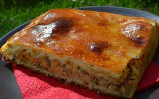 5 лучших пирогов с рыбой: вкуснятина с пользой для вашей талии!