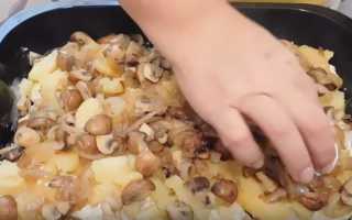 Уха из горбуши по-монастырски – вкусный постный рецепт