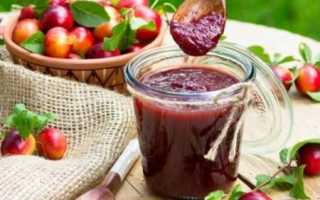 Простой и вкусный пошаговый фото рецепт приготовления на зиму соуса из алычи