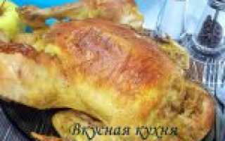Курица с яблоками в духовке — 6 рецептов вкусного запекания