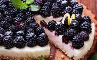 9 необычных рецептов вкусного ежевичного пирога