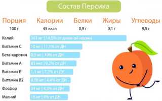 Простые рецепты приготовления сока из персиков и нектаринов на зиму в домашних условиях