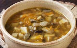 Самый простой и вкусный суп из свежих белых грибов