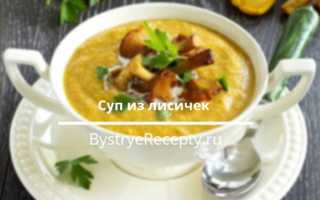 Суп из лисичек: рецепт с фото. Как приготовить суп с грибами лисичками